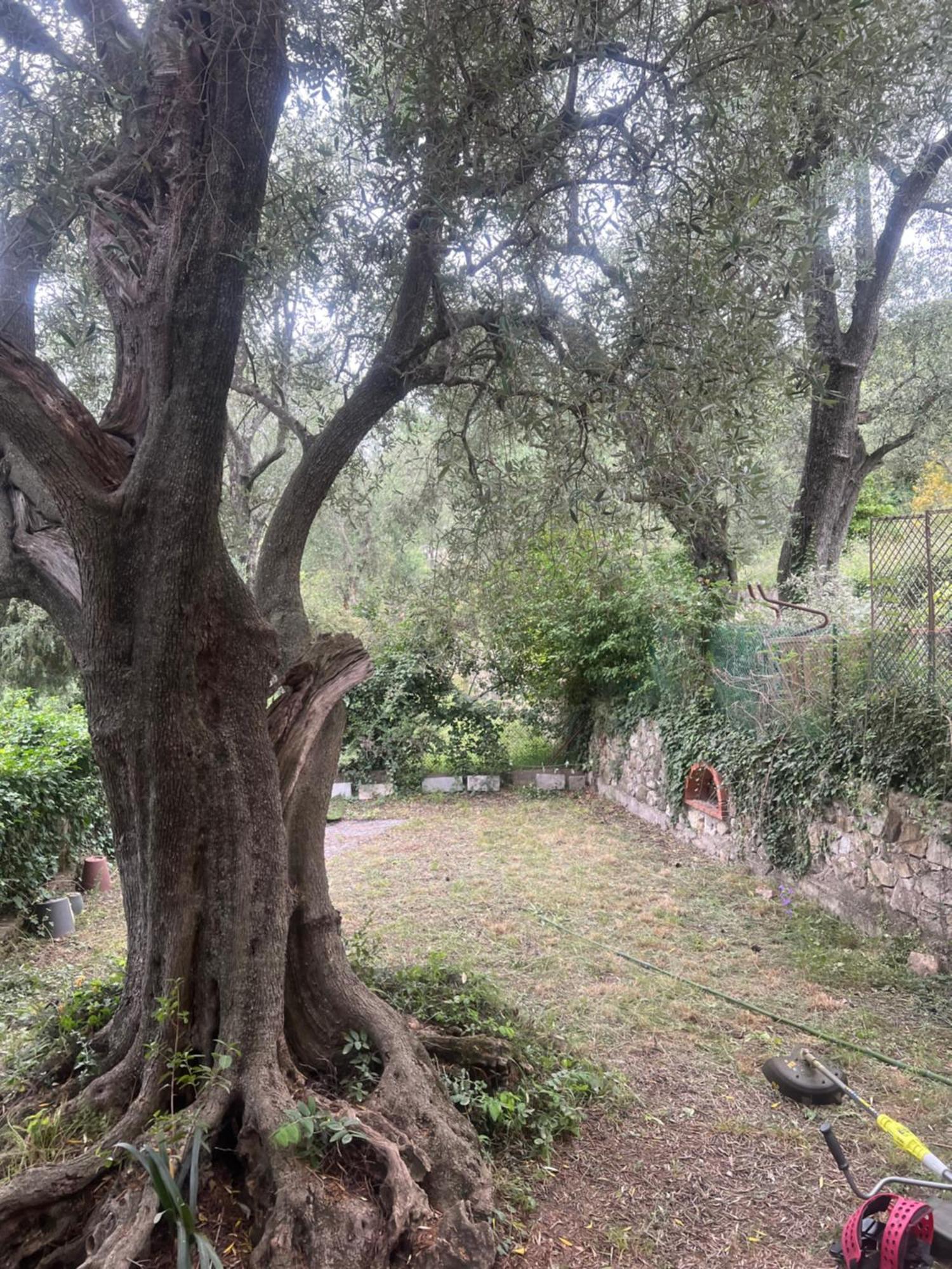 Bas De Villa Vue Mer Eze Village Εξωτερικό φωτογραφία