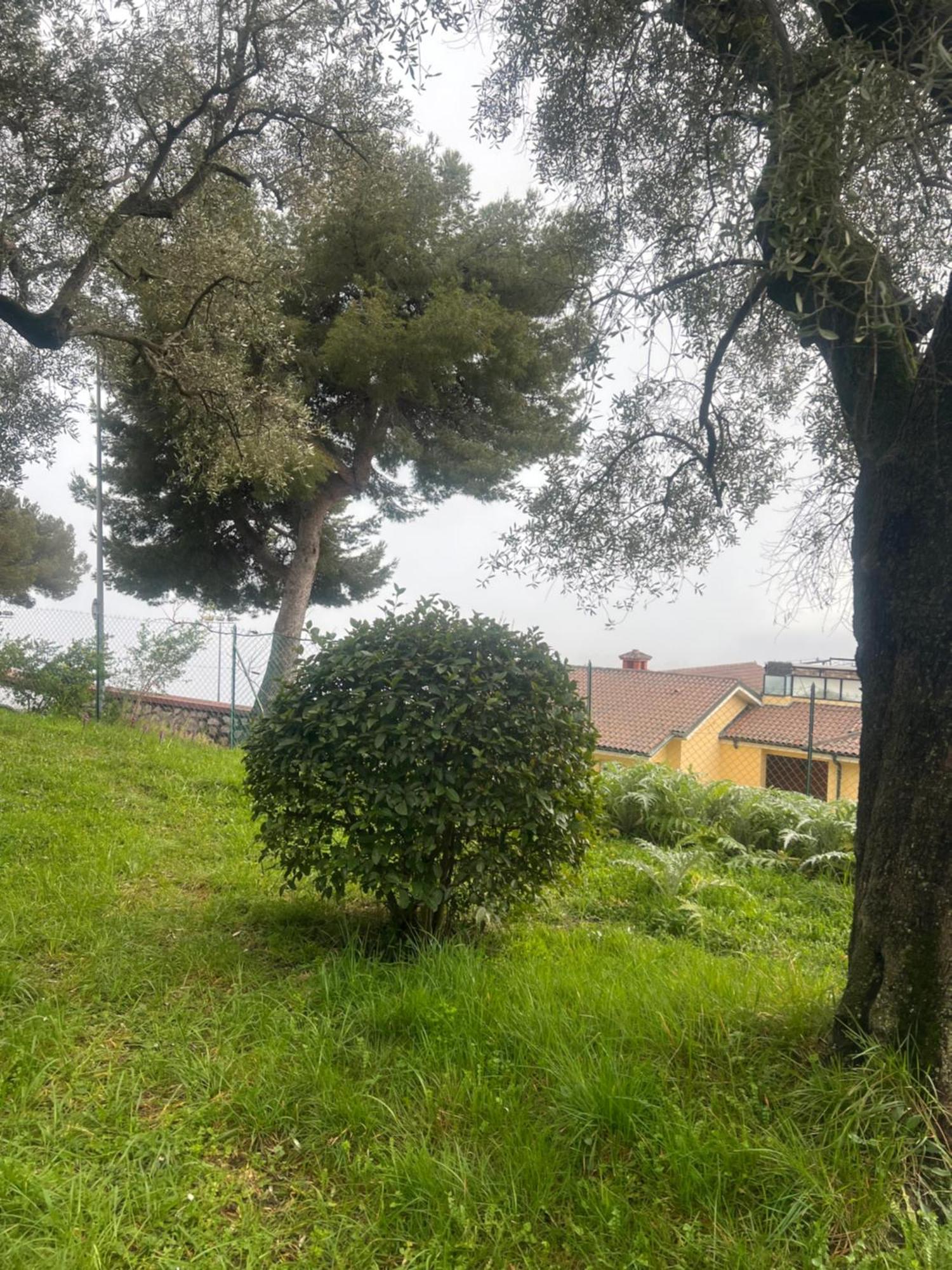 Bas De Villa Vue Mer Eze Village Εξωτερικό φωτογραφία