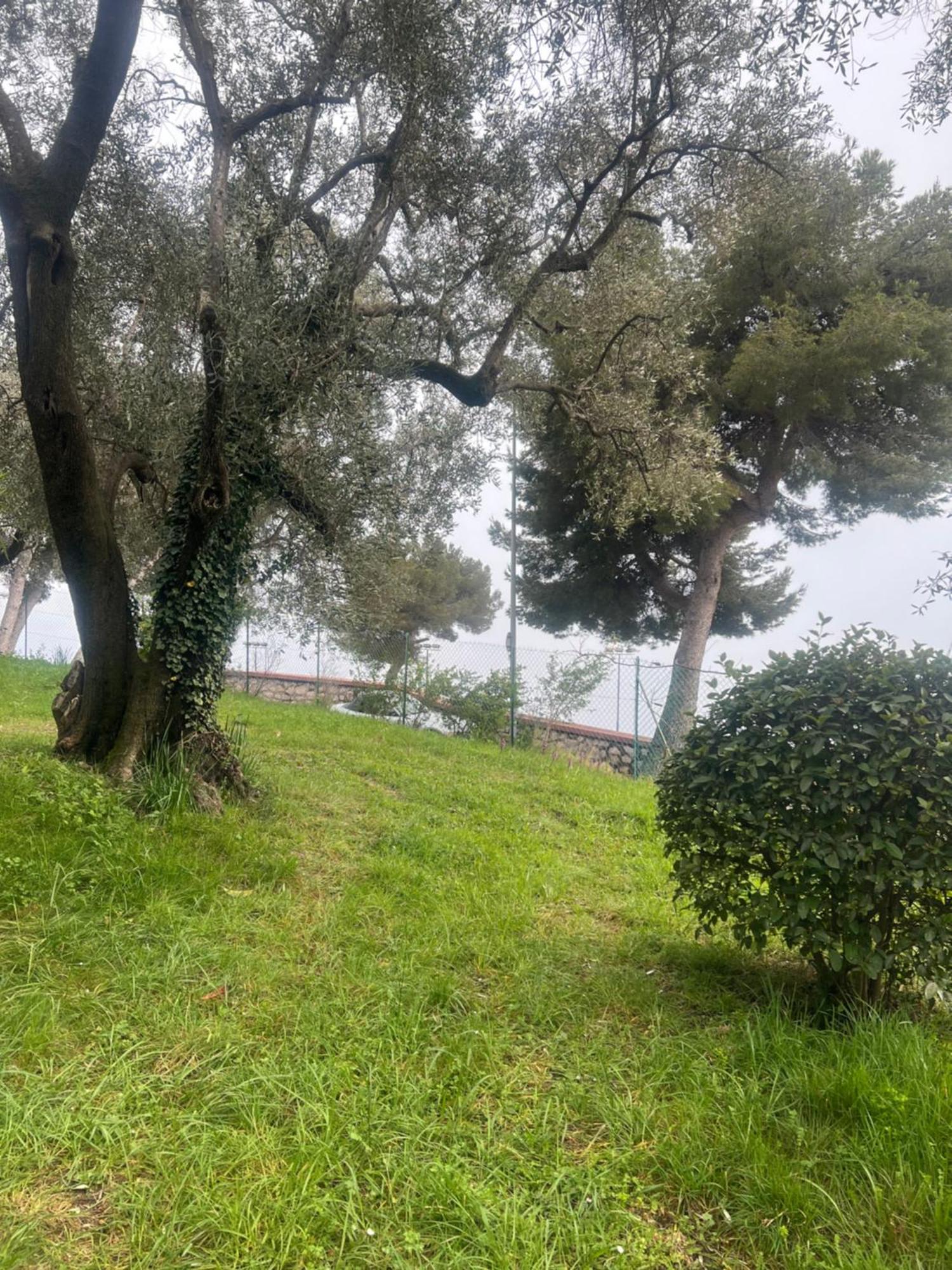 Bas De Villa Vue Mer Eze Village Εξωτερικό φωτογραφία